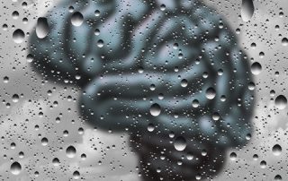 shutterstock 476666056 480x500